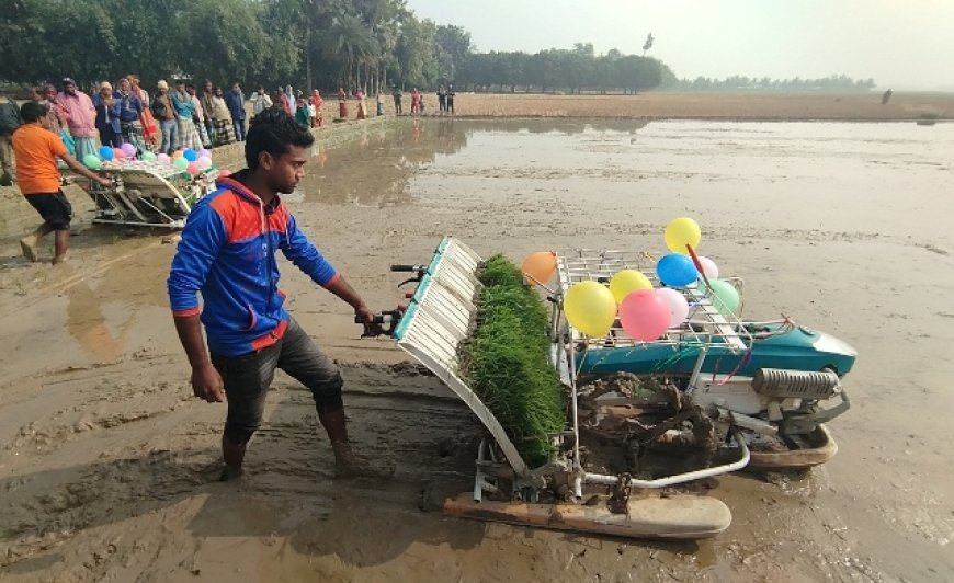 সমলয় পদ্ধতিতে ধান চাষ কৃষিতে নতুন সম্ভাবনা