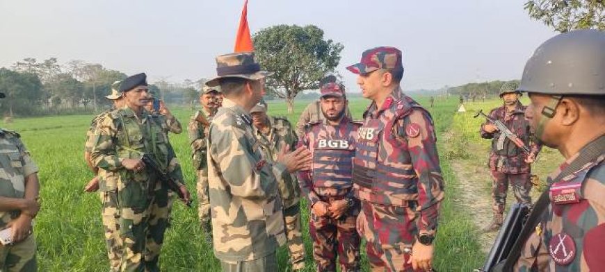 সীমান্তে উত্তেজনার ঘটনায় পতাকা বৈঠক, পরিস্থিতির উন্নতি