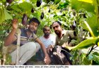 কৃষি কাজে তিন ভাইয়ের সাফল্য, মাসিক আয় লাখ টাকা