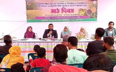 দেশের ভোজ্যতেলের আমদানি কমাবে ‘বিনা সরিষা-১১’