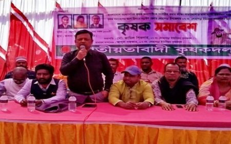নড়াইলের লোহাগড়ায় কৃষকদলের সমাবেশ অনুষ্ঠিত