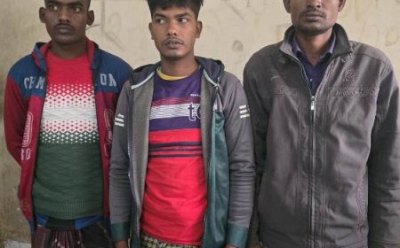 আন্তঃজেলা ডাকাত দলের প্রধানসহ তিন জন গ্রেফতার