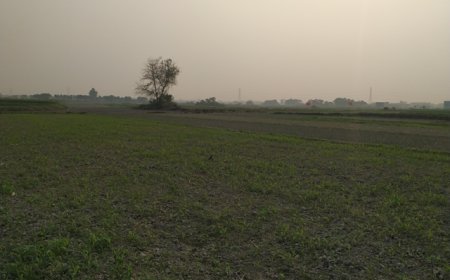 দুঃখ বিষাদ
