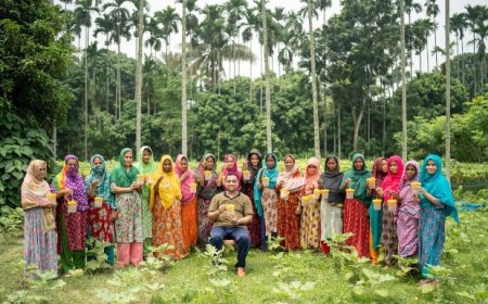 মাছি পোকা দমন করতে কার্যকর বাকৃবির ‘ফ্রুট ফ্লাই ট্র্যাপ’