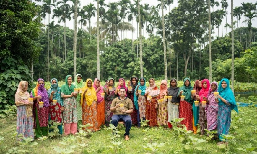 মাছি পোকা দমন করতে কার্যকর বাকৃবির ‘ফ্রুট ফ্লাই ট্র্যাপ’