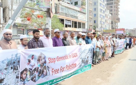 IAU condemns Gaza killings, calls for int'l intervention