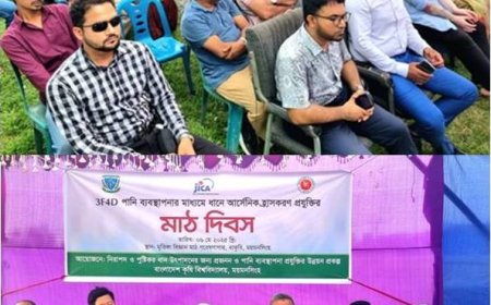 '৩এফ৪ডি' সেচ পদ্ধতিতে চালে ৪০% আর্সেনিক কমবে