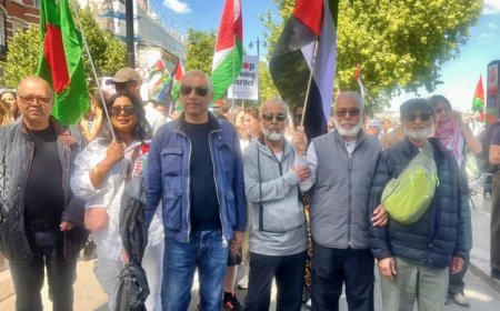 ASJ fordert die sofortige Beendigung der kriegerischen Handlungen in Gaza!