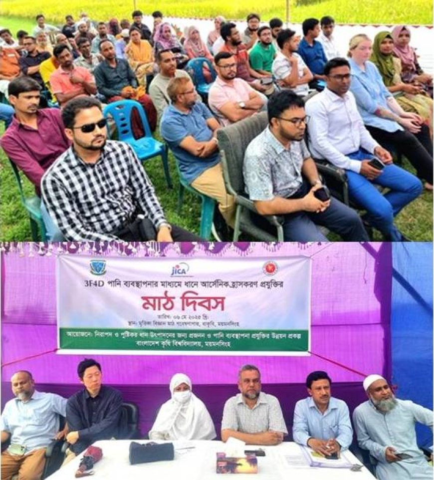 '৩এফ৪ডি' সেচ পদ্ধতিতে চালে ৪০% আর্সেনিক কমবে