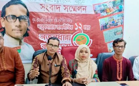 প্রবাসীসহ সর্বস্তরের মানুষকে ঠকানোর বাজেট : মেহেদী