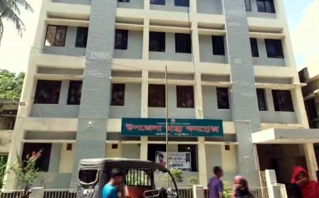 সড়ক দুর্ঘটনায় স্বামী ও স্ত্রী নিহত, ইজিবাইক চালক আহত