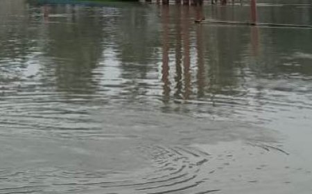 অতিবর্ষণে ডোবার পানিতে নেমে ফুফু-ভাতিজির মৃত্যু