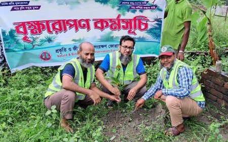 প্রকৃতি ও জীববৈচিত্র্য সংরক্ষণ ফোরামের বৃক্ষরোপণ কর্মসূচী