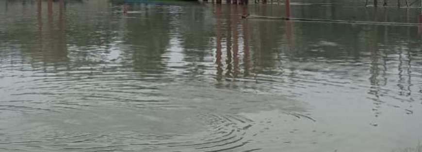 অতিবর্ষণে ডোবার পানিতে নেমে ফুফু-ভাতিজির মৃত্যু