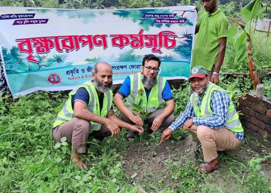 প্রকৃতি ও জীববৈচিত্র্য সংরক্ষণ ফোরামের বৃক্ষরোপণ কর্মসূচী