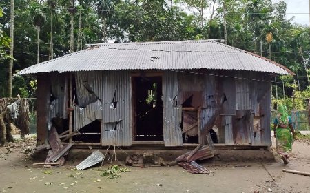 আ’লীগ নেতার নেতৃত্বে বিএনপি নেতাদের বাড়িঘর ভাঙচুর