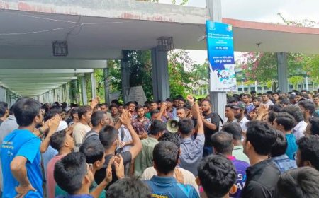 আর বাতিল নয়, এবার কম্বাইন্ড ডিগ্রি চান পশুপালনের শিক্ষার্থীরা