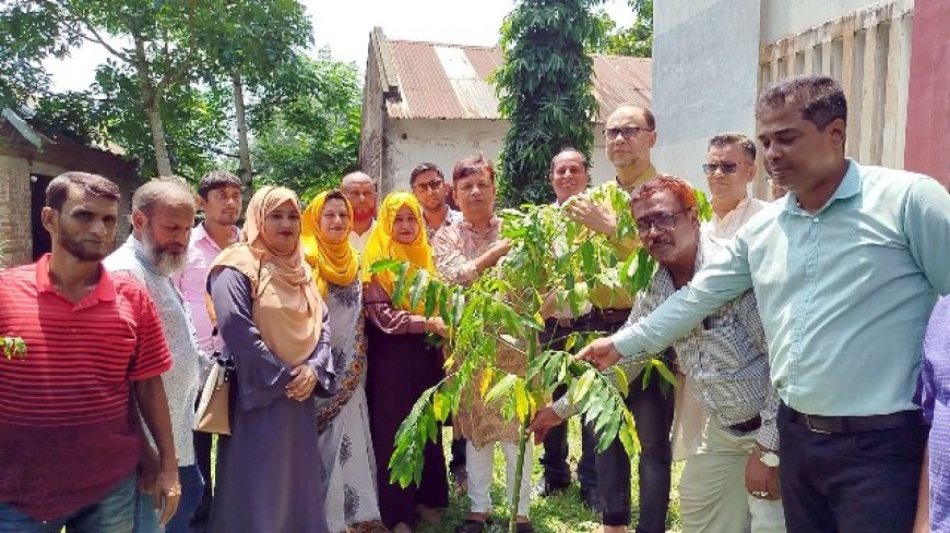 নড়াইলের নবগঙ্গা কলেজ ক্যাম্পাসে বৃক্ষরোপন অনুষ্ঠিত