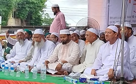 ‘আ’লীগ শুধু ভারতের দালাল নয়, তারা যেন ভারতেরই সরকার ছিল’