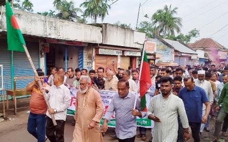 ‘জুলাই গণঅভ্যুত্থান দিবস’ উপলক্ষে বিএনপির বিজয় মিছিল