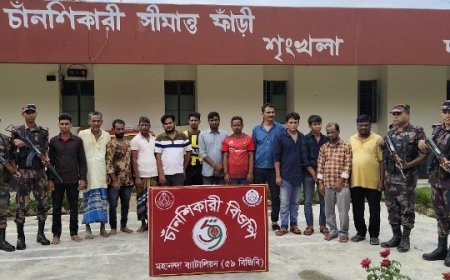 ভোলাহাট সীমান্তে ১৩ জনকে পুশ-ইন করলো বিএসএফ