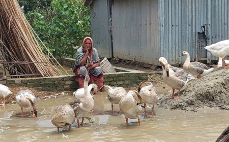 কমছে নদীর পানি, বন্যা কবলিত মানুষের জরাজীর্ণ অবস্থা