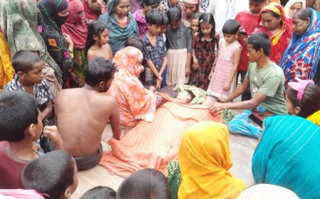 নড়াইলে পুকুরের পানিতে ডুবে আপন ভাইবোনের মৃত্যু