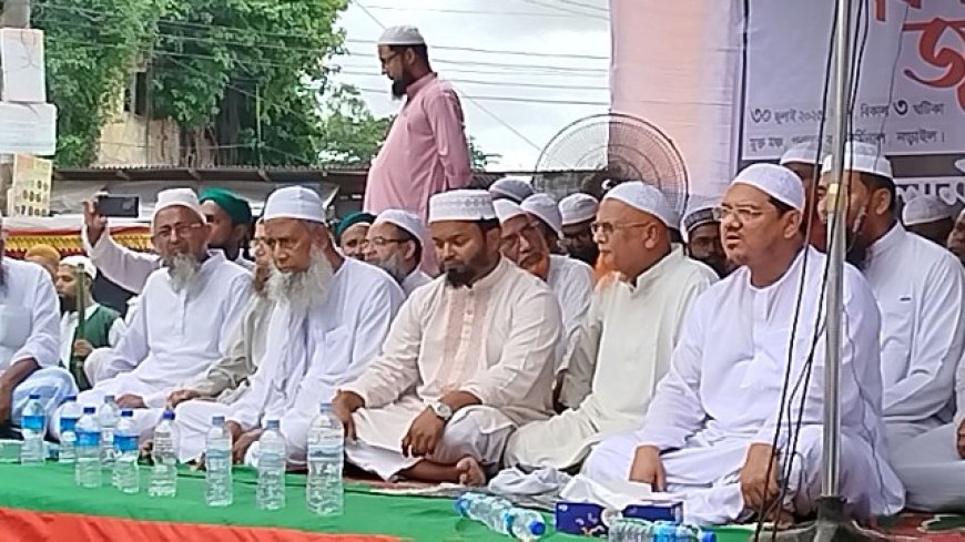 ‘আ’লীগ শুধু ভারতের দালাল নয়, তারা যেন ভারতেরই সরকার ছিল’