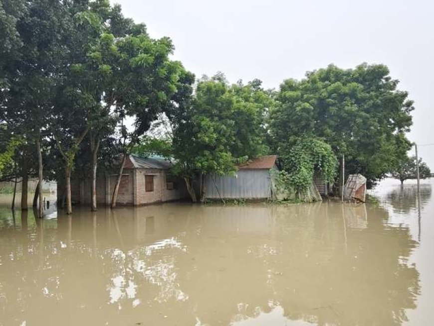 বাড়ছে পদ্মা ও মহানন্দার পানি, বিপদসীমা ছুঁইছুঁই