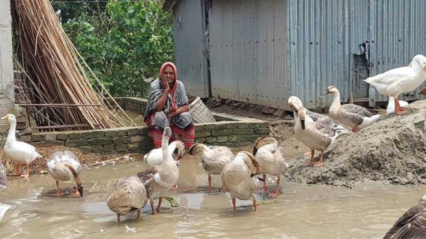 কমছে নদীর পানি, বন্যা কবলিত মানুষের জরাজীর্ণ অবস্থা