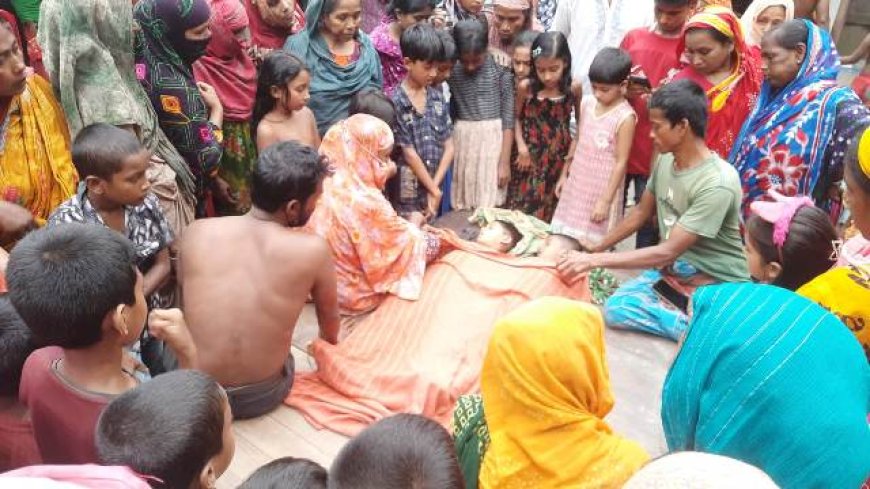নড়াইলে পুকুরের পানিতে ডুবে আপন ভাইবোনের মৃত্যু