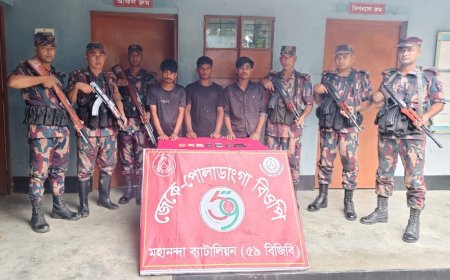 বিজিবির পৃথক অভিযানে ৪ চোরাকারবারী আটক, গাঁজা জব্দ