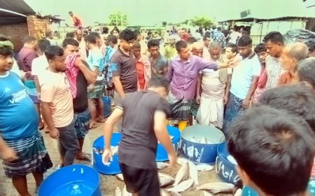 মাছের আড়ত থেকে ২০ লক্ষাধিক টাকা আদায়, আতঙ্কে ব্যবসায়ীরা