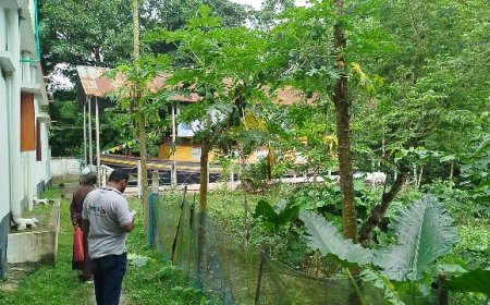 আগাছা ও জঙ্গলে পরিপূর্ণ ‘শিল্পী এস এম সুলতান ঘাট’