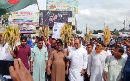 ধানের শীষের মনোনয়ন প্রত্যাশী ফরহাদের বর্ণাঢ্য শোভাযাত্রা