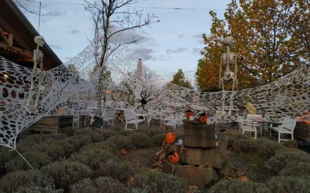 Helloween Night at Mac Doogle Castle