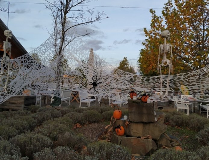 Helloween Night at Mac Doogle Castle