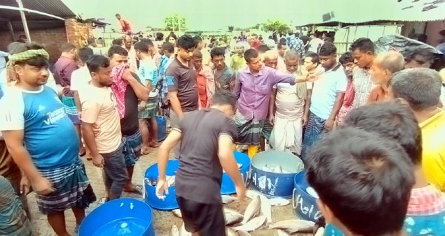 মাছের আড়ত থেকে ২০ লক্ষাধিক টাকা আদায়, আতঙ্কে ব্যবসায়ীরা