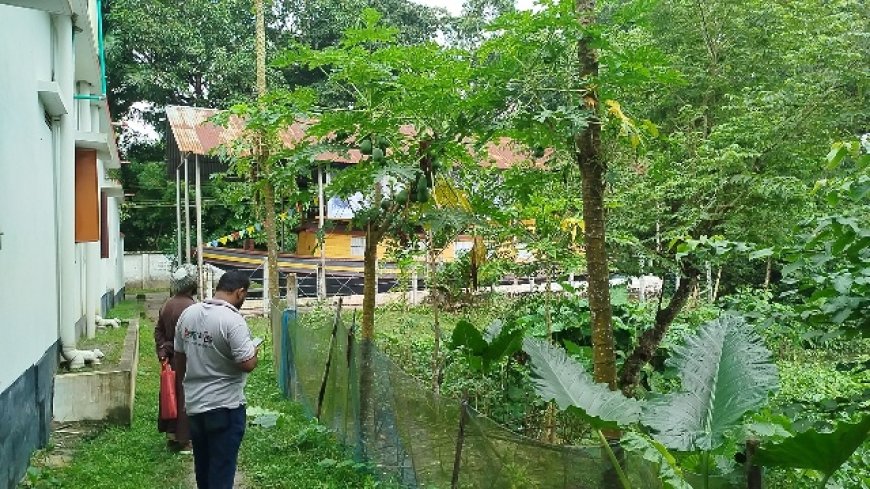 আগাছা ও জঙ্গলে পরিপূর্ণ ‘শিল্পী এস এম সুলতান ঘাট’