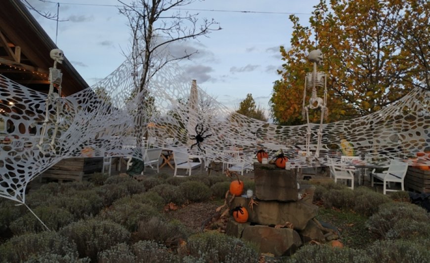 Helloween Night at Mac Doogle Castle