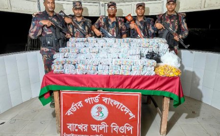 চাঁপাইনবাবগঞ্জে বিজিবির অভিযান, মদ ও পাতার বিড়ি জব্দ