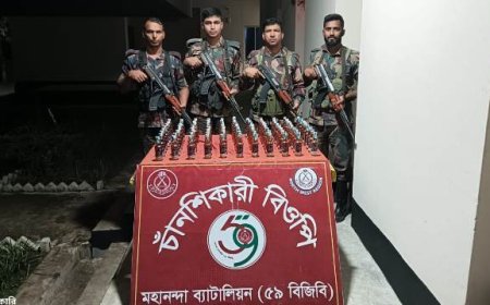 ভোলাহাট সীমান্তে অভিযানে ৮৯ বোতল ভারতীয় মদ জব্দ