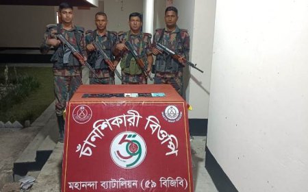 ভোলাহাট সীমান্তে ১২টি চোরাই মোবাইল ফোন উদ্ধার