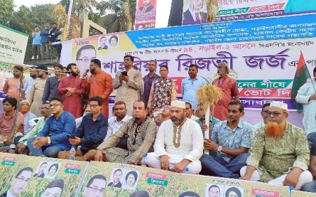 নড়াইল-২ আসনে জর্জের পক্ষে মনোনয়ন দাবিতে সমাবেশ