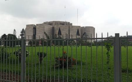 দ্বৈত নাগরিক প্রবাসীদের প্রার্থিতা নিয়ে অনিশ্চয়তা