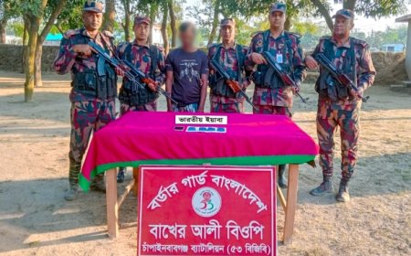 পৃথক অভিযানে ইয়াবা, নেশাজাতীয় ট্যাবলেট ও গরু জব্দ