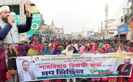 নড়াইল-২ আসনে ধানের শীষে জর্জের মনোনয়ন দাবিতে গণমিছিল