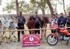 সীমান্তে দুই ভারতীয় গরু চোরাকারবারিসহ আটক ৫