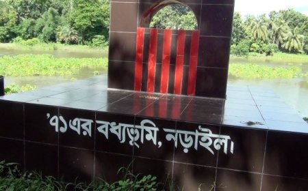 মুক্তিযুদ্ধে নড়াইল হানাদার মুক্ত দিবস ১০ ডিসেম্বর