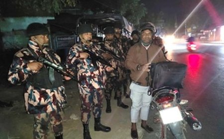 সীমান্তে বিজিবির অস্থায়ী চেকপোস্ট ও টহল জোরদার